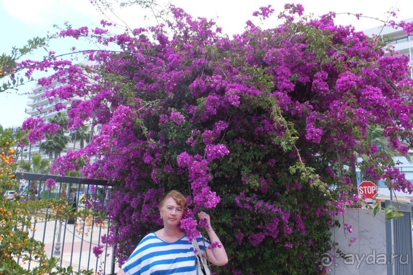 Майские праздники на Кипре