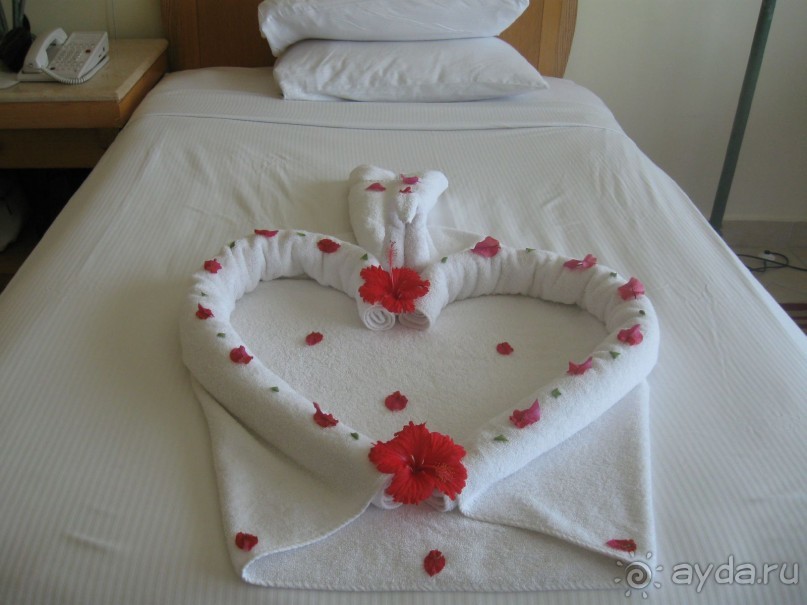 Сюрприз  в  номере