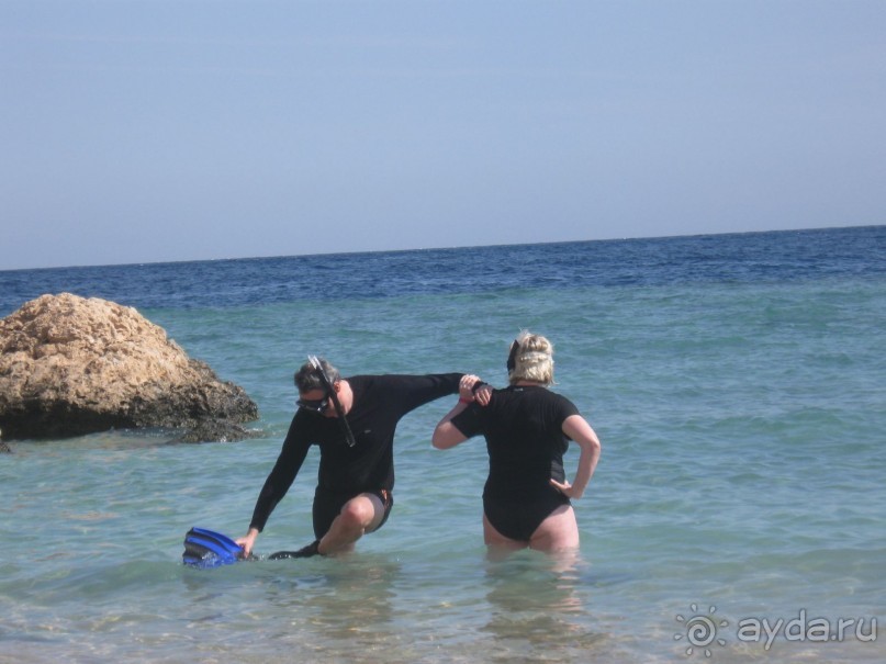 исследователи  Красного  моря