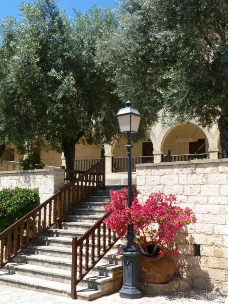 Кипр в вашем сердце