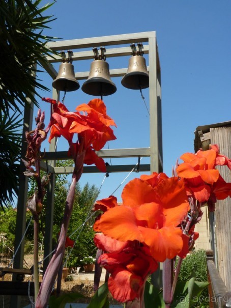 Кипр в вашем сердце