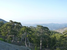 Кипр в вашем сердце