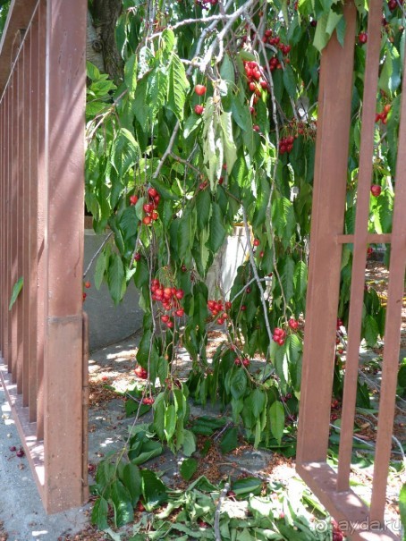 Кипр в вашем сердце