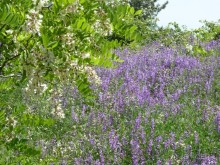 Кипр в вашем сердце