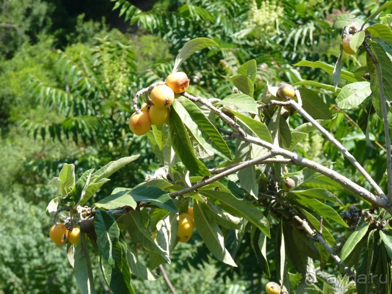 Кипр в вашем сердце