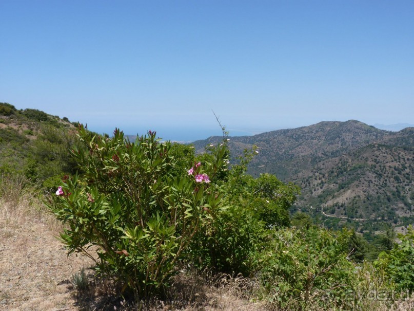 Кипр в вашем сердце