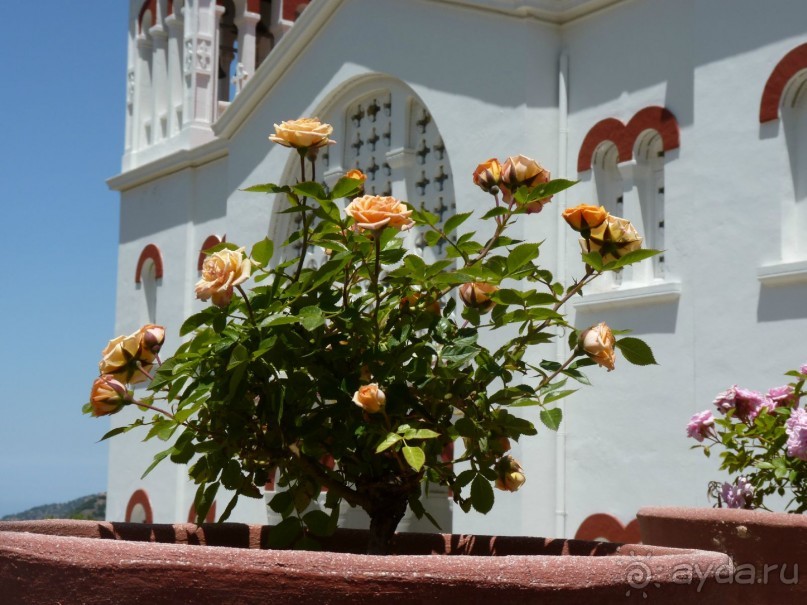 Кипр в вашем сердце