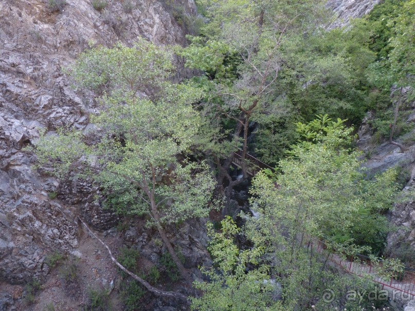 Кипр в вашем сердце