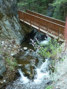 Кипр в вашем сердце