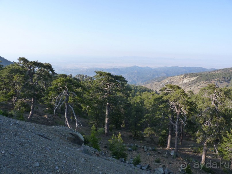 Кипр в вашем сердце