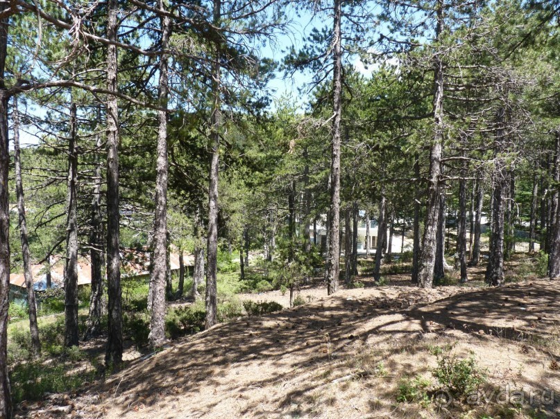 Кипр в вашем сердце