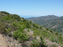 Кипр в вашем сердце