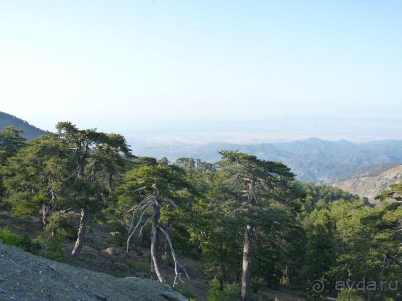 Кипр в вашем сердце