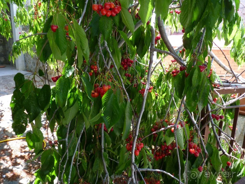 Кипр в вашем сердце