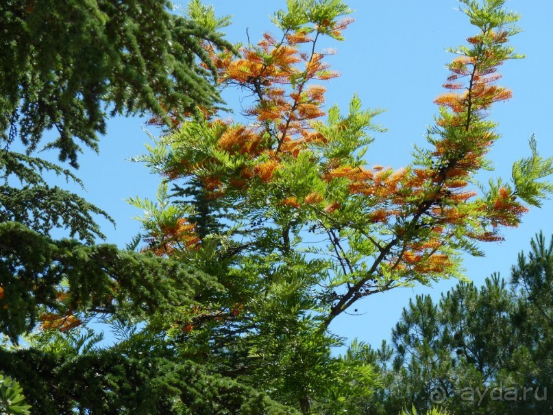 Кипр в вашем сердце