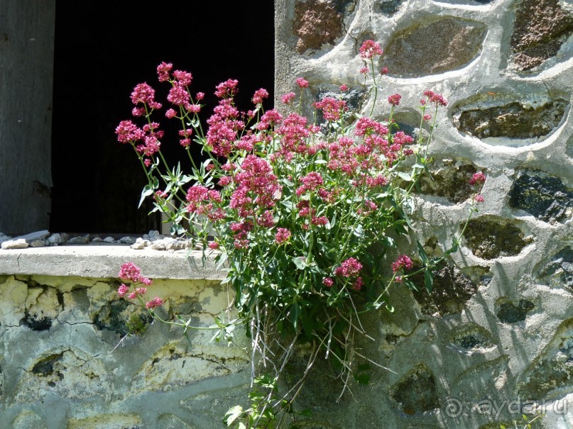 Кипр в вашем сердце