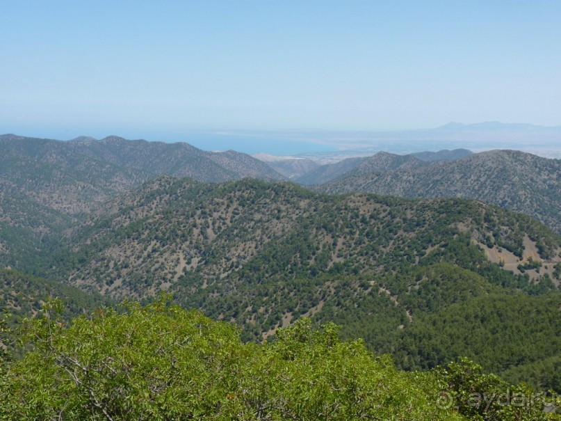 Кипр в вашем сердце