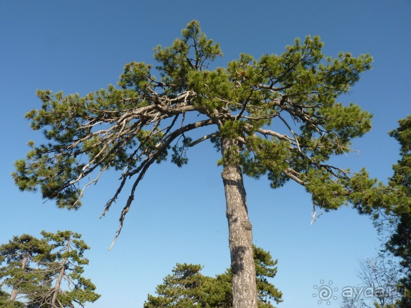 Кипр в вашем сердце