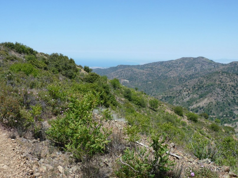 Кипр в вашем сердце