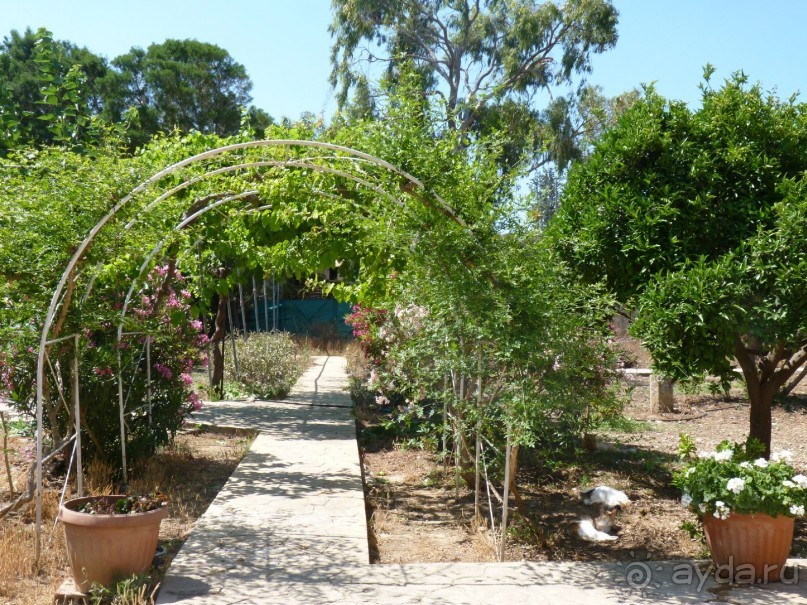 Кипр в вашем сердце