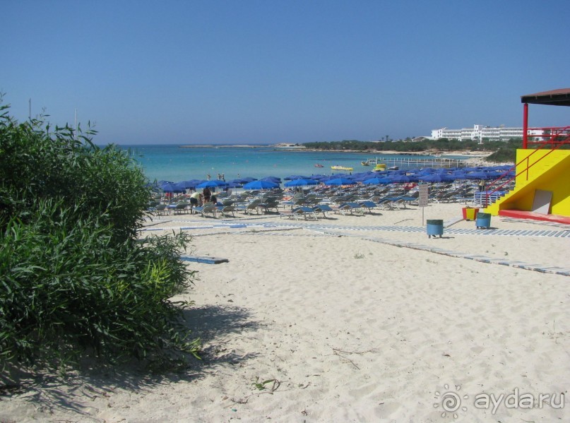 фото Olympic Bay Agia Napa