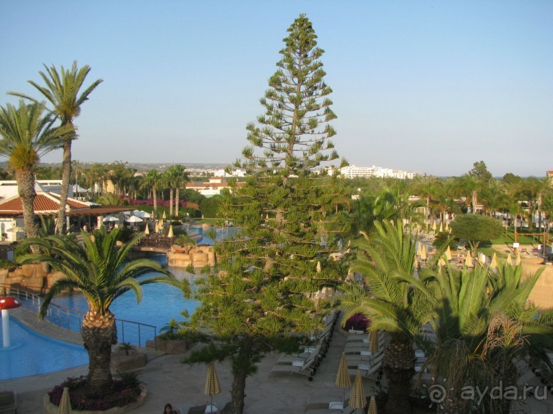 фото Olympic Bay Agia Napa