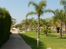 фото Olympic Bay Agia Napa