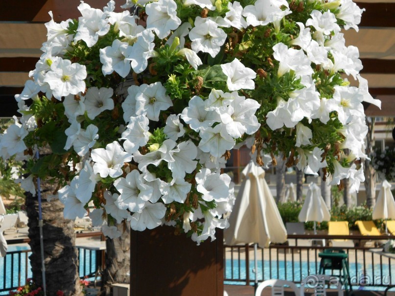 Olympic Lagoon Resort 4*