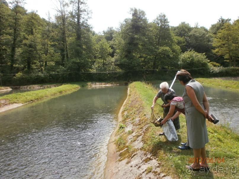 Райский уголок