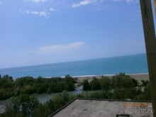 фото Сосновая роща