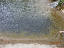 Райский уголок