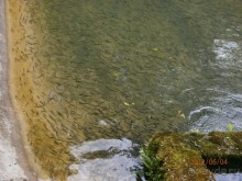 Райский уголок