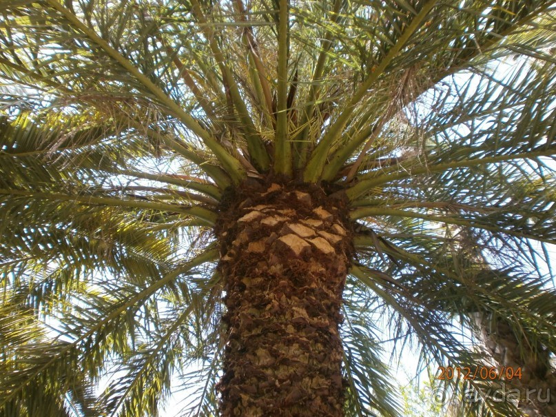 Райский уголок