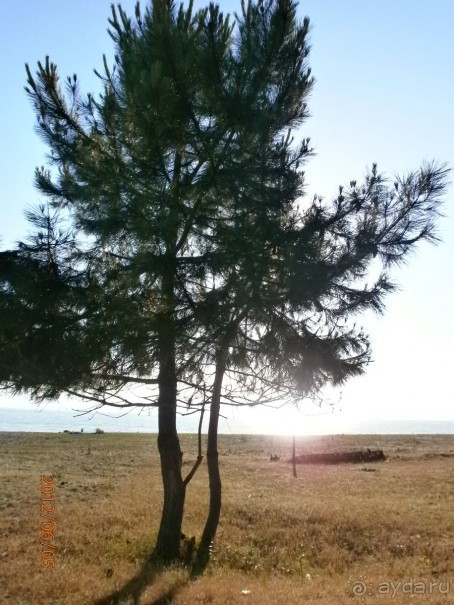 Райский уголок