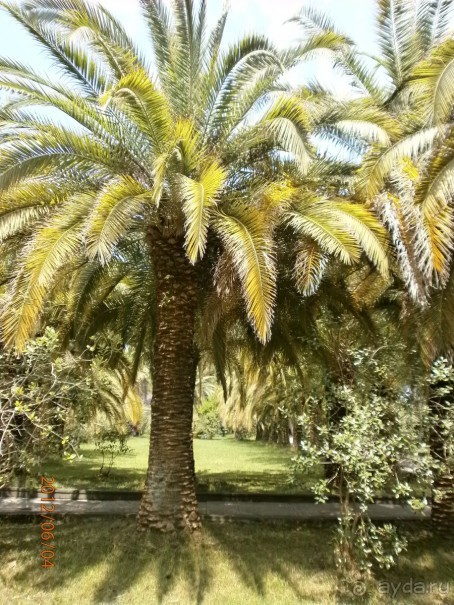 Райский уголок