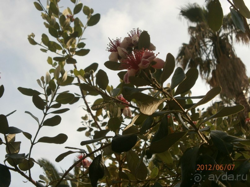 Райский уголок