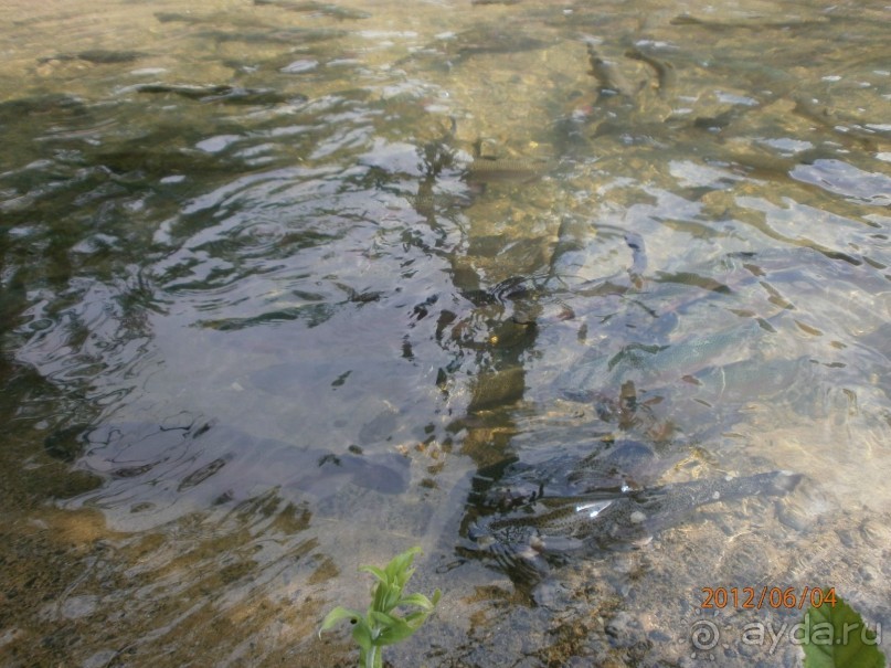 Райский уголок