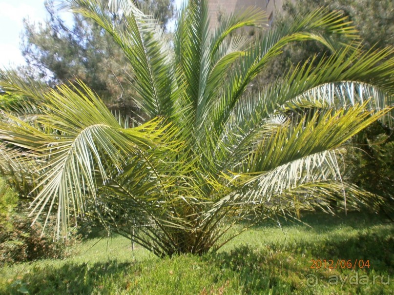 Райский уголок