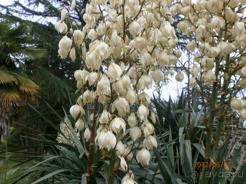 Райский уголок