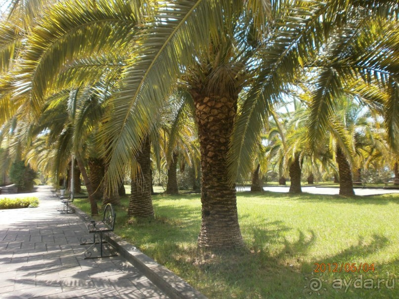 Райский уголок