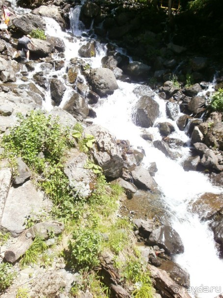 Райский уголок