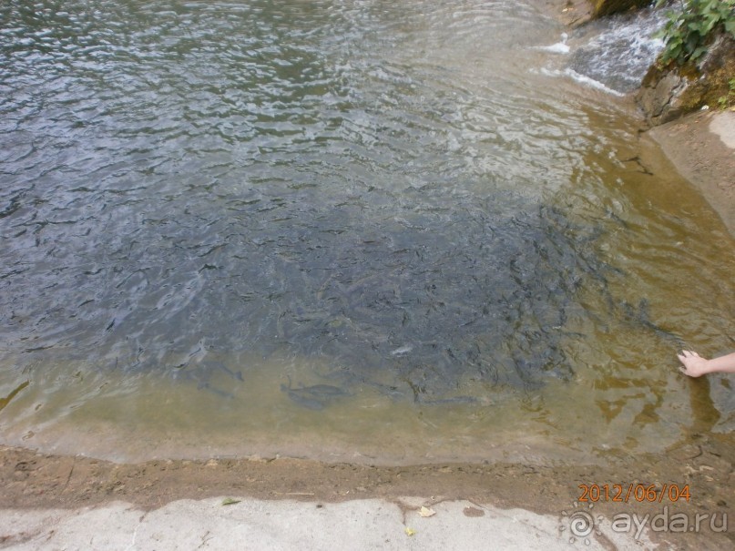 Райский уголок