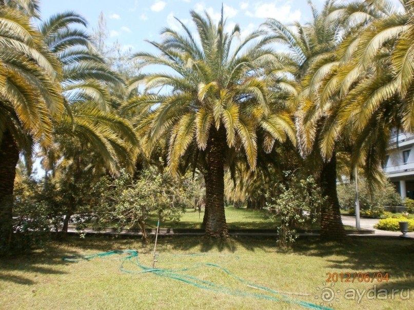 Райский уголок