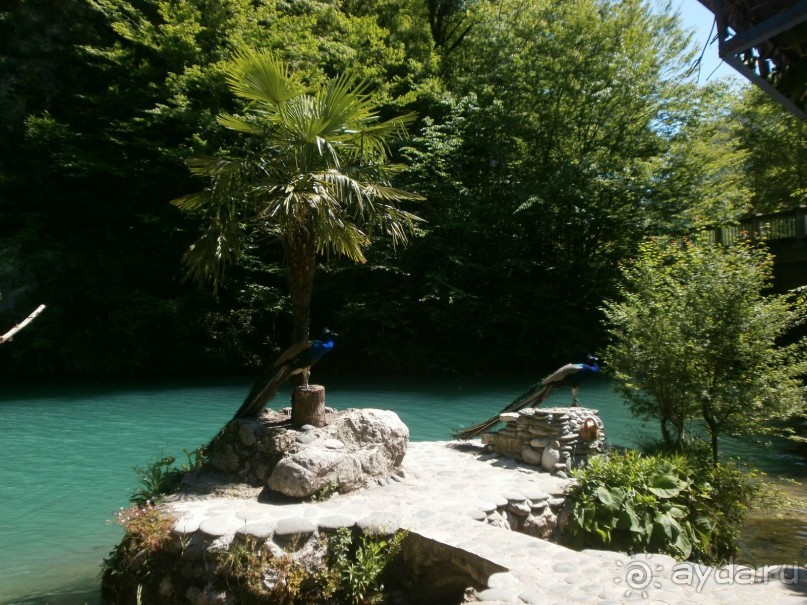 Райский уголок