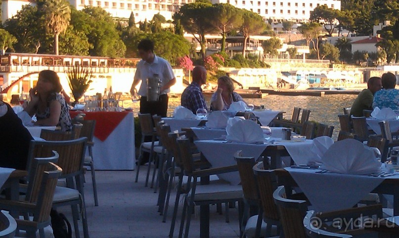 фото Карпаты