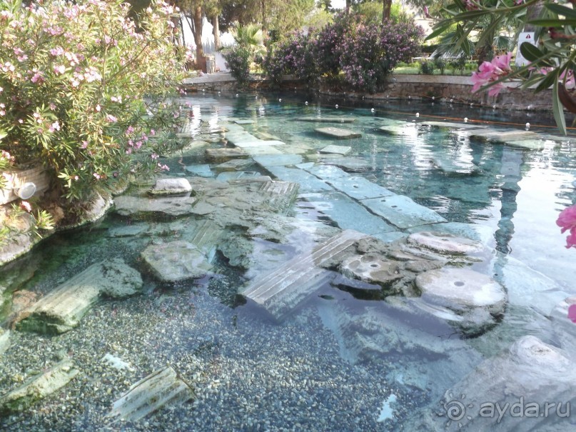 фото Xeno Hotels Sonas Alpina