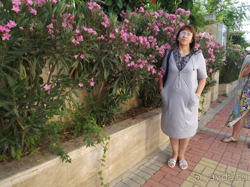 фото Xeno Hotels Sonas Alpina