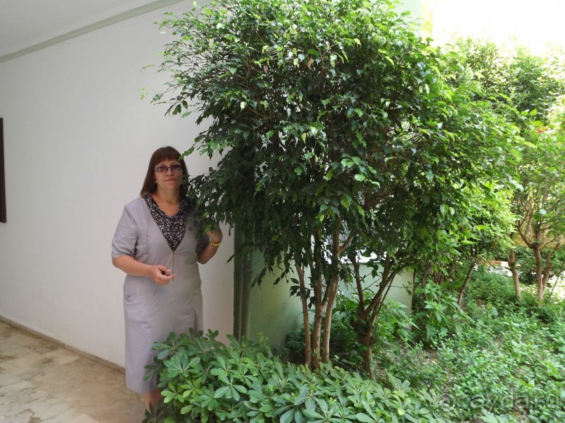 фото Xeno Hotels Sonas Alpina