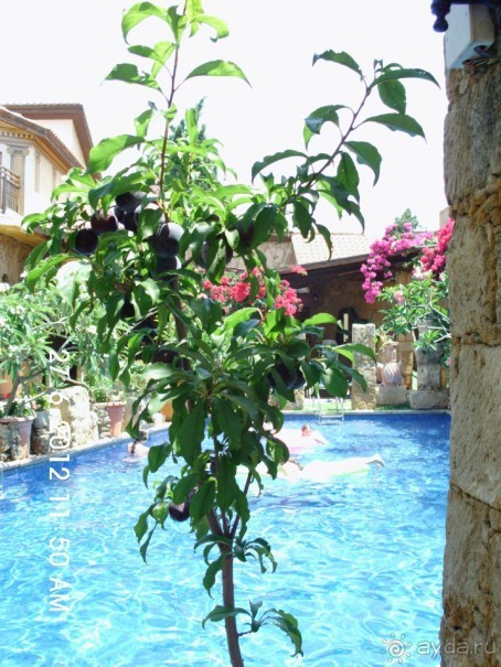 описание отдыха