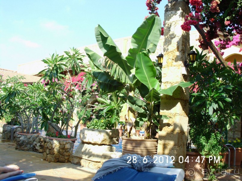 фото Sokha Angkor Hotel